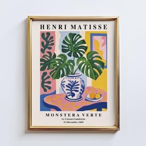 Monstera Matisse - Etsy