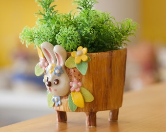 Rabbit hole plant pot,pottery,cactus pot,cute cony pot,animal cute,cute plant pot,Rabbit pot,Hare,Rabbit,Cony,rabbit hole,warren rabbit