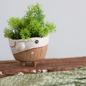 Puede incluir: Una maceta de cerámica blanca y marrón con una cara linda y tres patas, que contiene una planta verde de hojas.