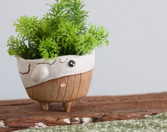 Whale plant pot,pottery,cactus pot,cute whale pot,Animal plant pot,HandmadeCeramic Plant Pot,cute plant pot,Matte white Whale
