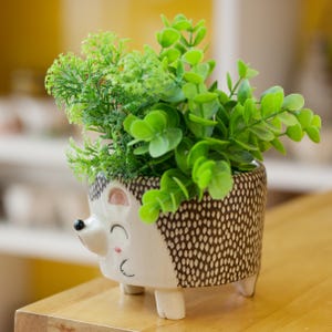 Handmade Hedgehog Ceramic Planter - Brown Animal Pot,Adorable plant holder,Whimsical home decor,Ceramic garden pot,Brown succulent pot