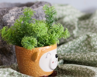 Cute bear plant pot,pottery,cactus pot,Animal plant pot,animal cute,cute plant pot,