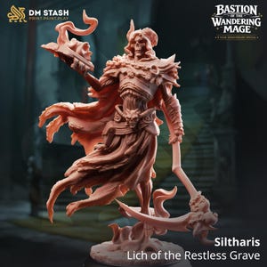 May include: A detailed, peach-colored miniature figure of Siltharis, Lich of the Restless Grave, holding a scythe and a stylized object. The figure is from the Bastion of the Wandering Mage collection. The DM STASH logo is visible in the upper left corner.