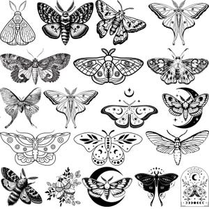 Könnte beinhalten: Eine Sammlung von Schwarzweißillustrationen verschiedener Schmetterlingsmotive. Die Schmetterlinge sind in verschiedenen Posen dargestellt, darunter fliegend, ruhend und auf Blumen sitzend. Einige der Schmetterlinge haben komplizierte Muster auf ihren Flügeln, während andere einfacher sind.