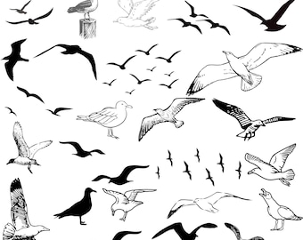 Seagull SVG Bundle, Flying Seagull Svg, Seagull Silhouette, Bird Svg, Seagull Clipart, Seagull cut files, Coastal svg, Seagull Cricut,
