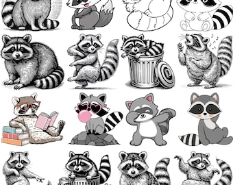 Raccoon SVG Bundle,  Raccoon Cut File, Charming Raccoon, Cute Raccoon Clipart, Raccoon Head PNG, Raccoon Silhouette, Raccoon vector