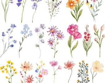 Bundle Svg de fleurs sauvages, Svg de fleur de naissance, des cliparts fleurs sauvages, Bundle floral svg, fleur minimaliste, Silhouette de fleurs sauvages, des cliparts fleurs sauvages