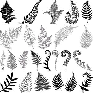 Fern Leaves Svg, Fern Clipart, Boho Svg, Botanical Silhouette,  Fern Clipart, Fern Cut Files, Fern Cricut, Tropical Leaves SVG