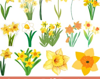 Påsklilja Svg Bundle, Påsklilja Siluett, Påsklilja Vektor, Påsklilja Blommor Svg, Blomma SVG, Påskliljor Cricut, Påskliljor Clipart,