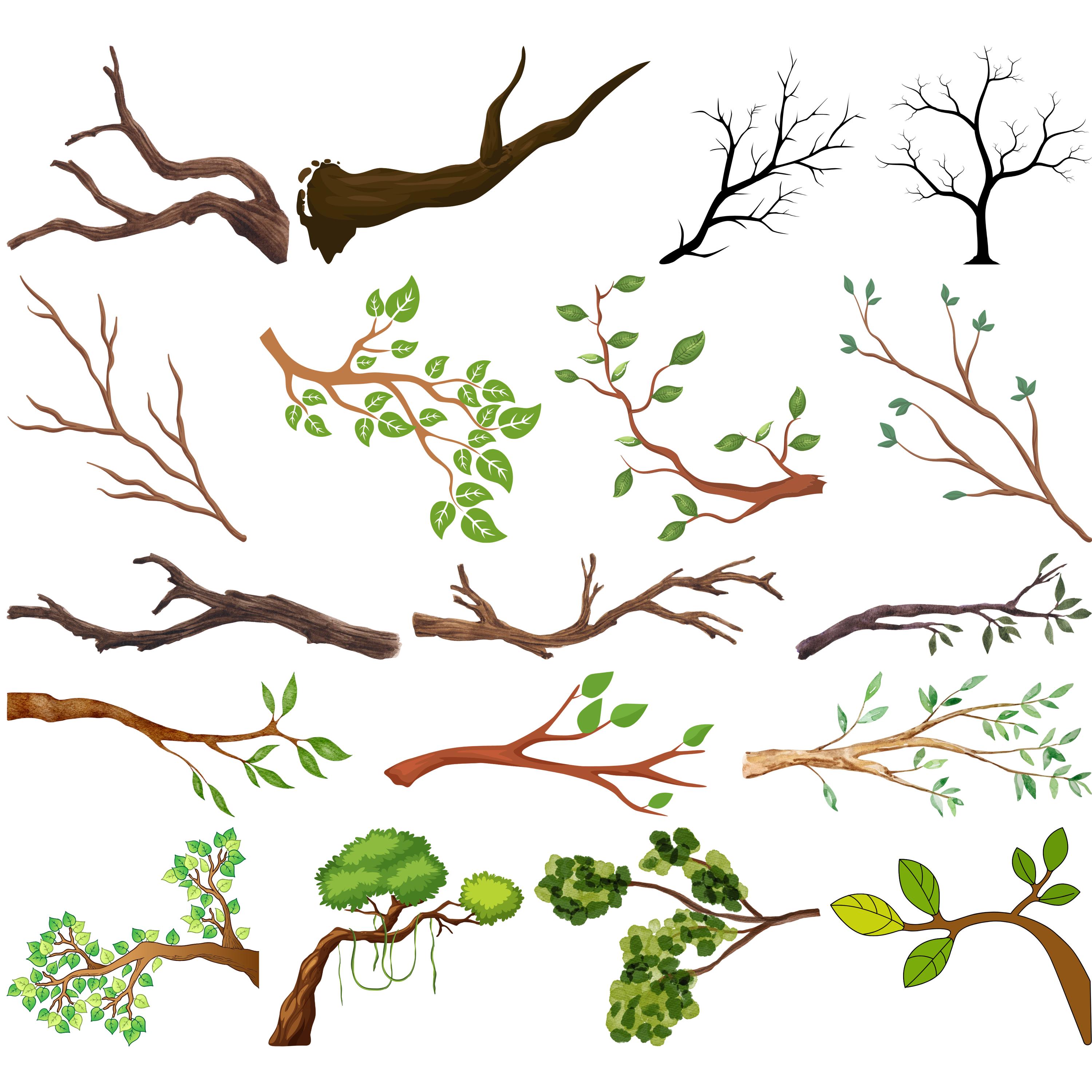 Tree Branch Svg Bundle, Tree Limb Svg, Tree Twig Svg, Branch Clipart ...