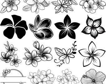 Plumeria Svg Bundle, Plumeria vector, Plumeria clipart, Tropical Flower svg, Plumeria Png Decal, Plumeria eps, Plumeria cut files