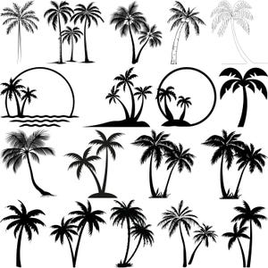 Puede incluir: Una colección de 16 imágenes en silueta en blanco y negro de palmeras en varias poses. Las imágenes están aisladas sobre un fondo blanco.