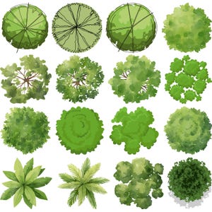 May include: A collection of sixteen top-down illustrations of various trees and plants. The images showcase a variety of green foliage, with some featuring detailed line drawings and others rendered in watercolor style. The designs are suitable for landscape or architectural projects.