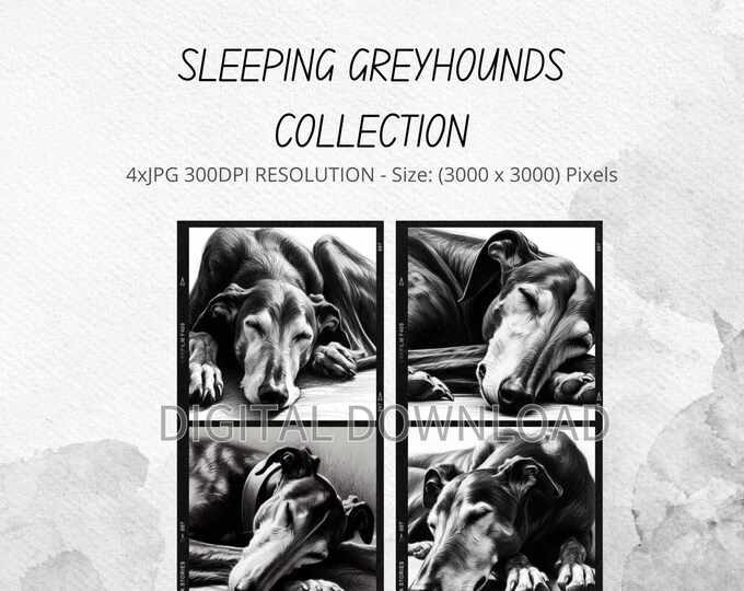 Sleeping Greyhounds Digital Art Collection | JPG 300dpi | Instant Downloads | Art for Dog Lovers | Gift for Dog lovers