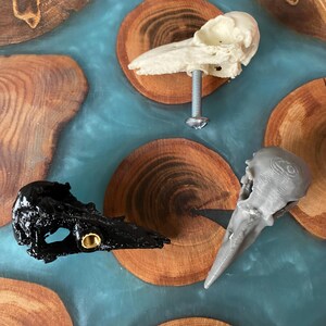 Tirador de puerta/cajón de armario con forma de calavera de cuervo en miniatura