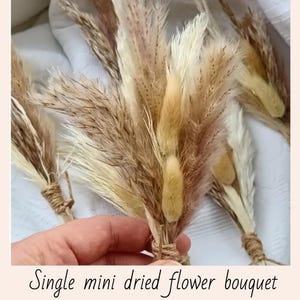 May include: A small bouquet of dried pampas grass in shades of brown, beige, and white, tied together with twine.