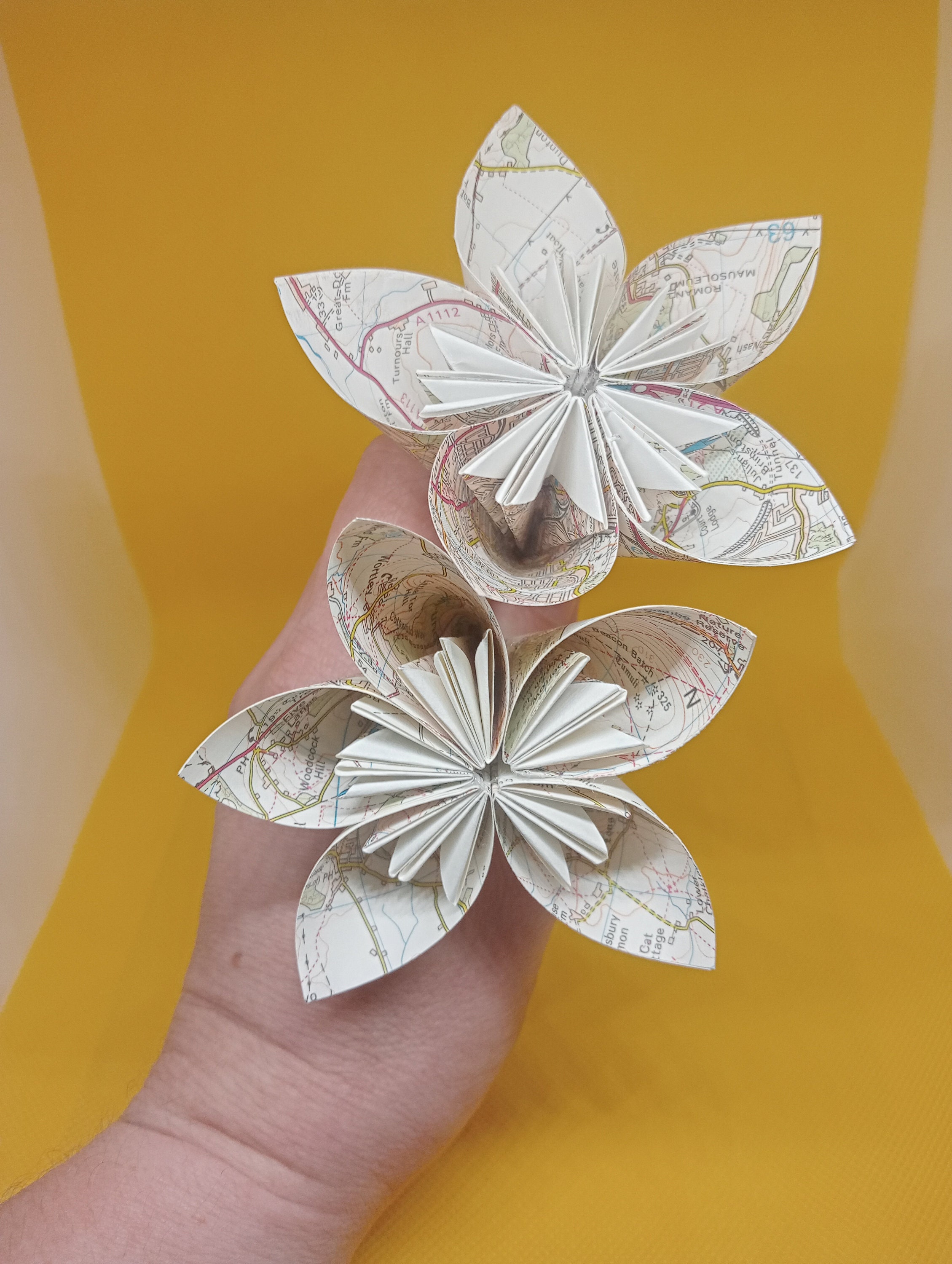 Where We Met Map PAPER FLOWERS, Maps Personalised With Your Special ...