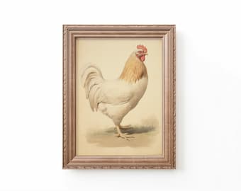 Rooster Watercolor Print: Vintage Farm Animal Art (Digital Download)