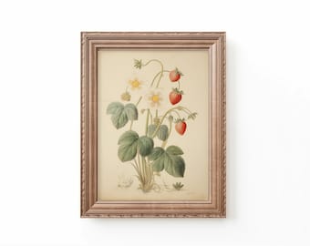 Wild Strawberry Art Print, Nursery Prints Neutral, Fruit Nursery Decor by Bespoke Littles