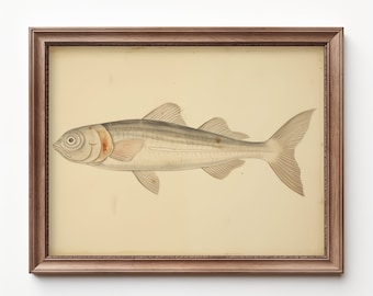 Vintage Fish Watercolor Painting: Fishing Nursery Decor (Digital Download)