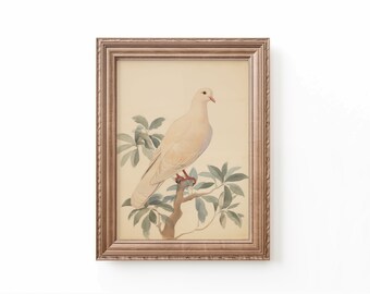 Dove Watercolor Print: Vintage Bird Nursery Decor (Digital Download)
