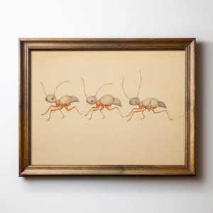 Ant Nursery Decor Bug Kids Room Art Insect Print Nursery Ants Marching Art Kids Room Bugs Print Baby Shower Gift Nursery by Bespoke Littles