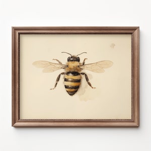 Bee Art for Nursery, Botanical Bee Wall Art, Bee Nursery Decor, Bumble Bee Painting by Bespoke Littles