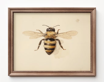 "Biene ""Biene"" Aquarell Bild: Biene ""Biene"" Bild, digitaler Download"