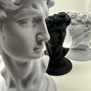 May include: Three plaster busts of the David statue, one in white, one in black, and one in white with a gold base.