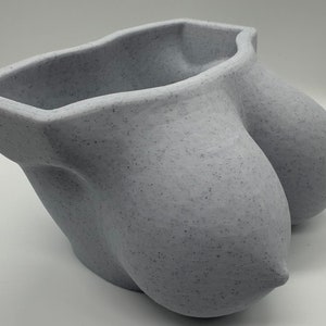Boob Flower Pot/Planter