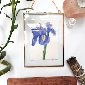 MINI Cuadro Acuarela Iris enmarcada en Prensa Flores de Latón y Cristal, Colección "Secret Garden".