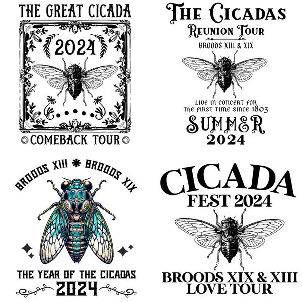 Cicada png 2024 Cicada Reunion Tour 2024 png Lustiges Cicada-Konzert png Bug Humor Goblincore Insekt Tee png Naturliebhaber Geschenk