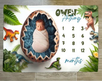 Dinosaur Milestone Blanket: Plush Velveteen Baby Growth Chart