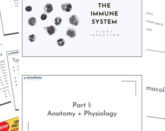 Archer Med Surg-studiegids immuunsysteem