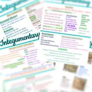 May include: A collection of handwritten notes on the topic of integumentary, with text including medical terms like "Herpes Zoster" and "Nursing Diagnosis." The notes are on white paper with colorful highlighting and annotations.