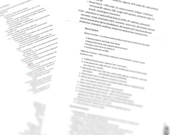 Studiegids Med Surg nier