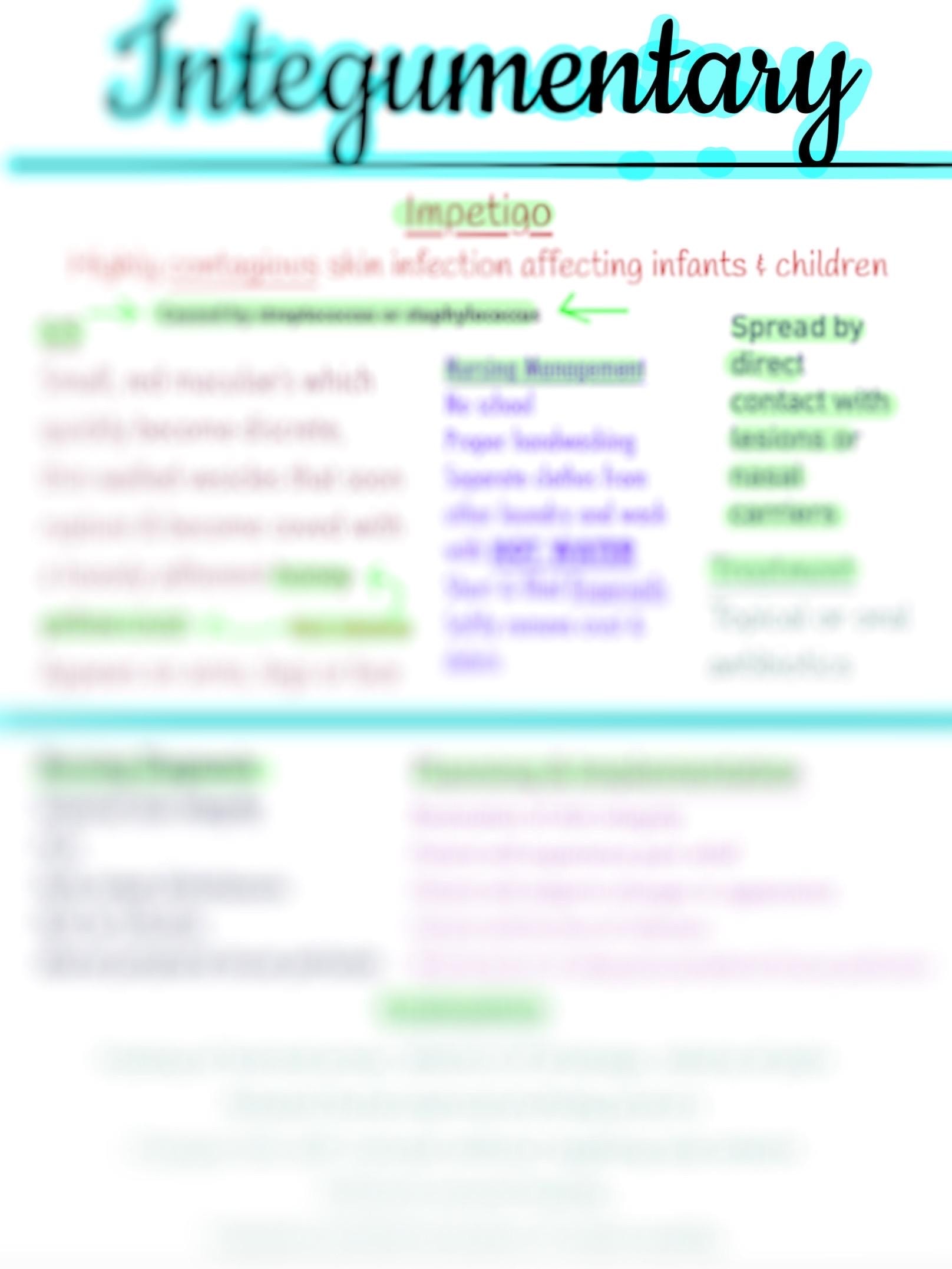 Med Surg Integumentary Study Guide - Etsy