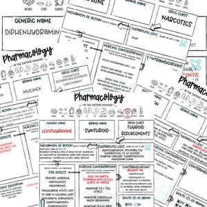 薬理学学習ガイド：人体システム（デジタルダウンロード）