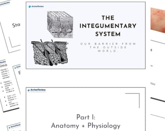 Studiegids Archer Med Surg Integumentary