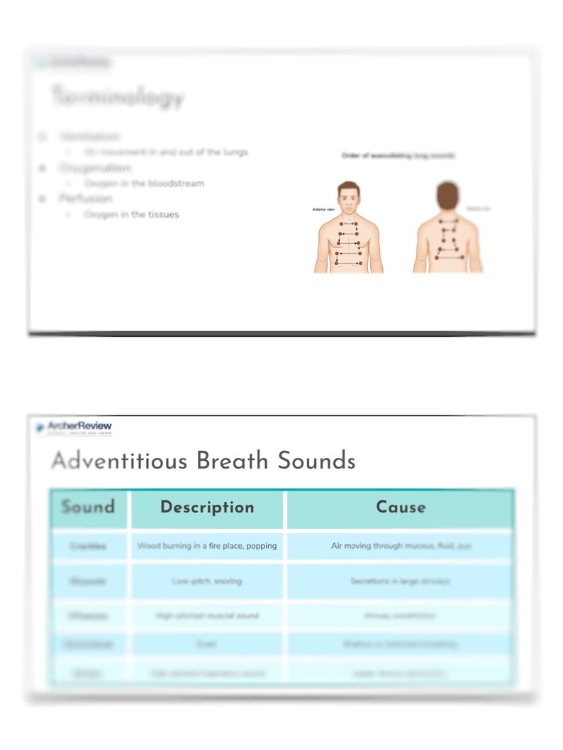 Archer Med Surg Respiratory Study Guide - Etsy