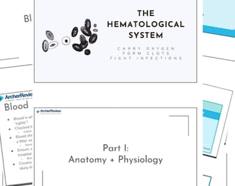 Archer Med Surg hematologische studiegids