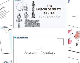 Archer Med Surg-studiegids bewegingsapparaat