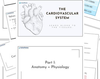 Archer Med Surg cardiovasculaire studiegids