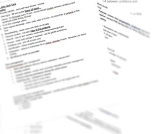 Maternity Study Guide