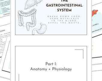Archer Med Surg gastro-intestinale studiegids
