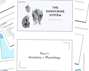 Endocriene studiegids Archer Med Surg