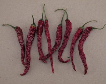 Organically Grown Spanish Jeromin Paprika Pepper Seeds - 20+ Seeds