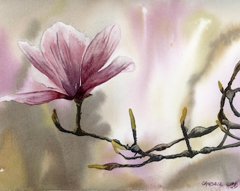 Magnolia Flower Giclee Print: Spring Flower