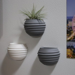 May include: Three round, wall-mounted planters with a ribbed design. Two are gray and one is white. The gray planter in the center has a small air plant growing in it.