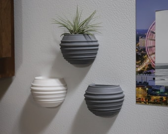 SET OF THREE! Home Decor: Magnetic Air Plant Pot (Available in multiple colors)